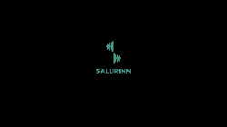 Salurinn_Merki_Green